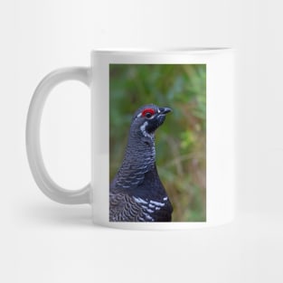 Spruce Grouse - Algonquin Park, Canada Mug